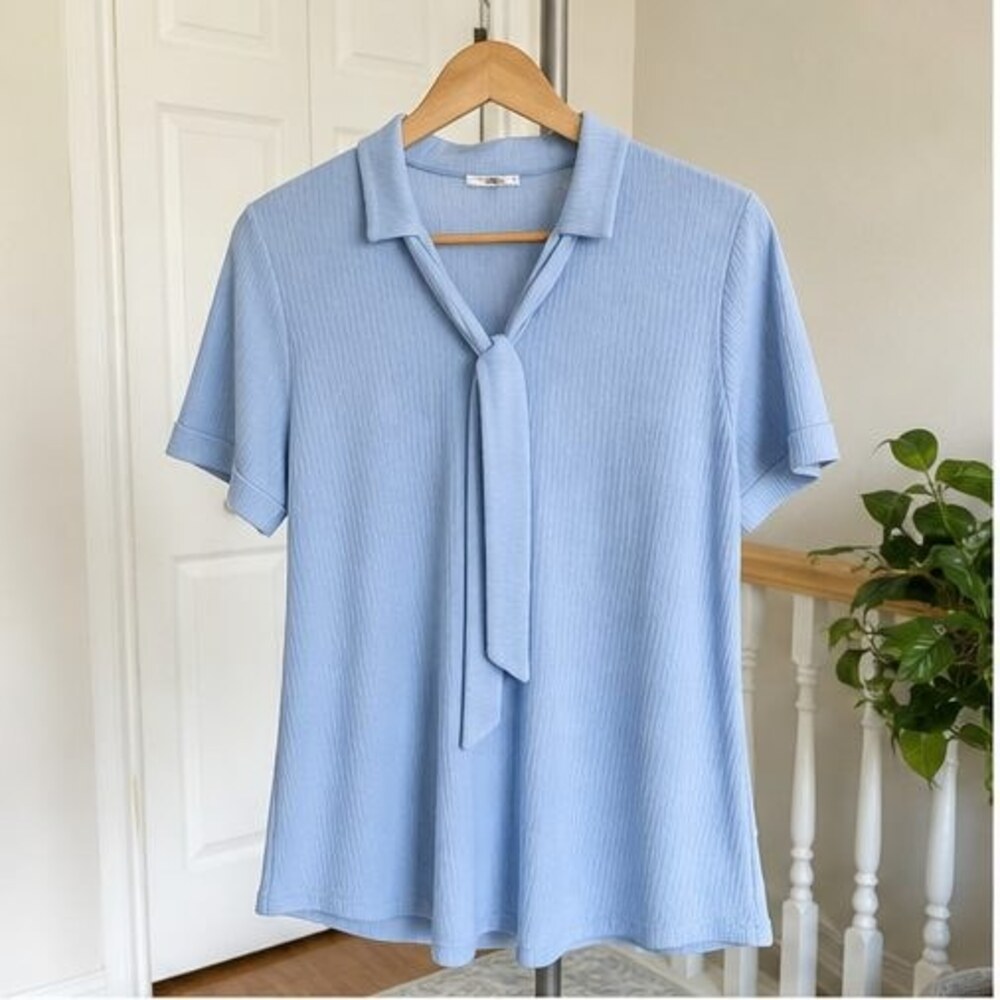 Blue Tie Neck Blouse